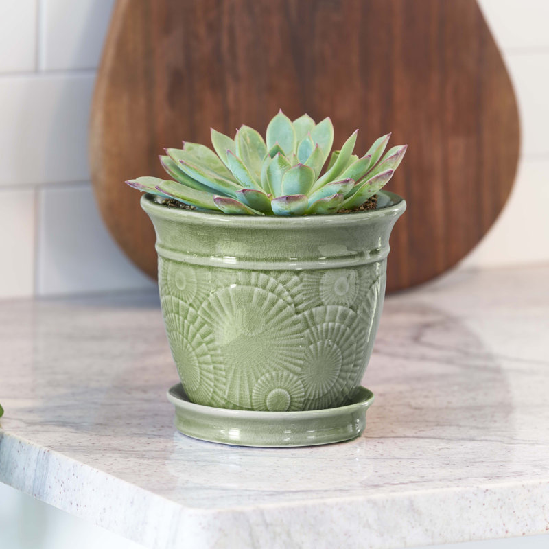 6 Inch Annandale Planter