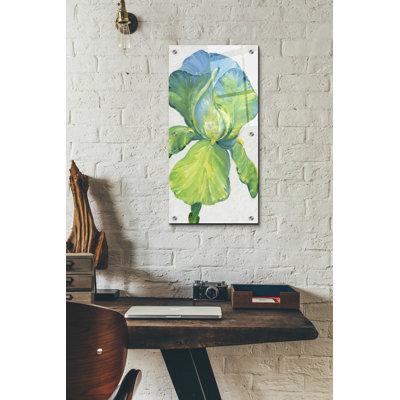 «Iris Bloom in Green II» par Tim O'Toole, art mural en verre acrylique, 12 po x 24 po
