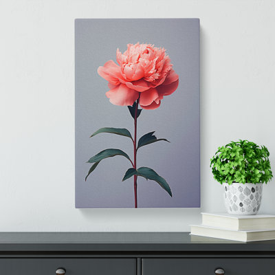 Peony Flower Minimalism - Wrapped Canvas