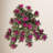 24" Uv Hanging Azalea Plant