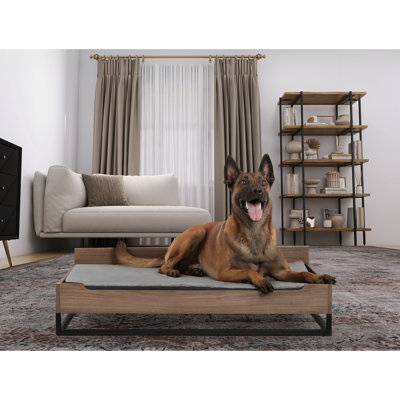 Polyester Pet Bed