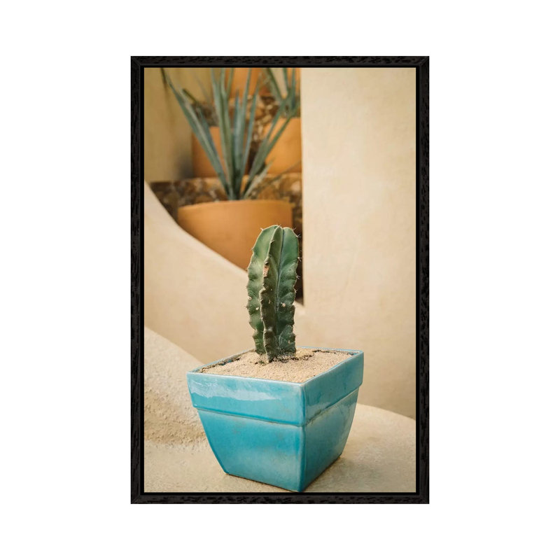 Cabo Cactus V by Bethany Young - Print on Canvas, 152.4cm H x 101.6cm W x 3.81cm D, Black Framed