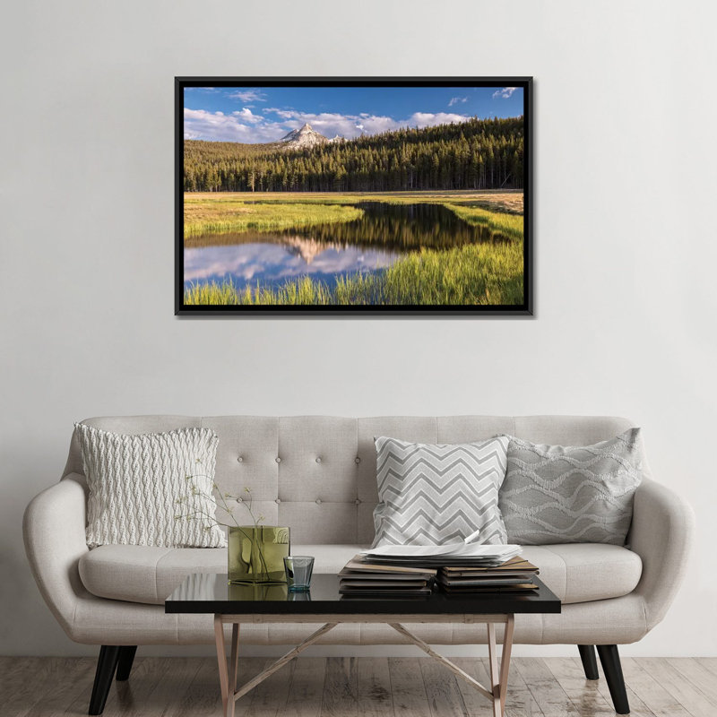 Tuolumne prairies, reproduction de photo sur toile tendue, H 32 po x l 48 po x P 1,5 po, Toile avec cadre noir, Pas de tapis