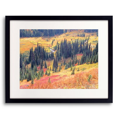 Paradise Valley Autumn Print by Bruce Heinemann