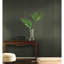 Papier peint Palm Palm-61597619