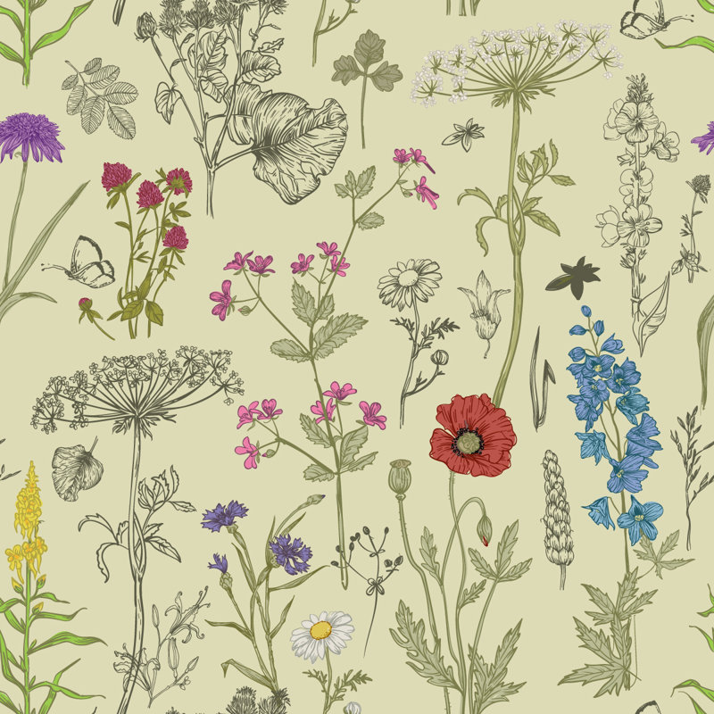 Fleurs sauvages sur fond vert