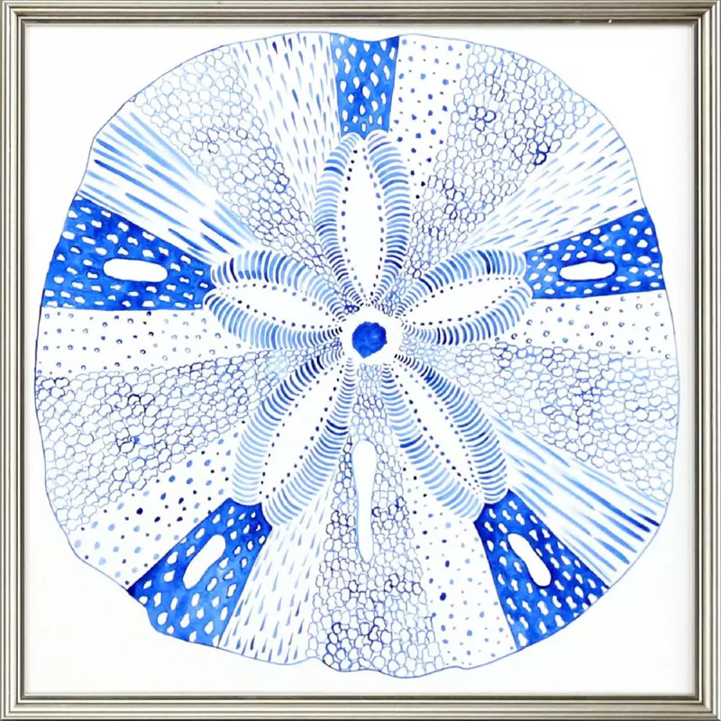 Indigo Shell II Set by Inspire Studio