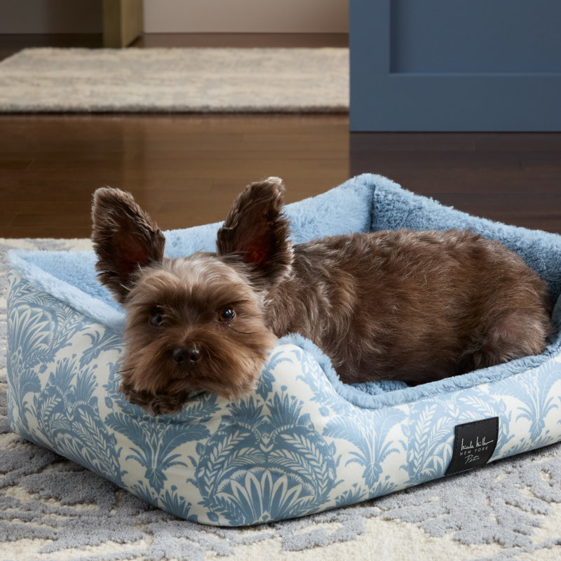 NICOLE MILLER New York Pet Lit pour animal de compagnie, Île Seymour Nord, Galapagos, H 6,3 po x l 5 po x P 18,5 po