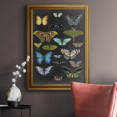 " Graphic Butterfly Taxonomy I "