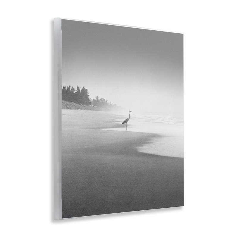 «Heron on Beach Coast» par Chip Forelli