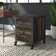 Rushton 20.87'' Wide 2 -Drawer Mobile File Cabinet