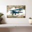 Mehar Biplane I-108953823