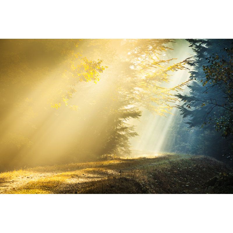 Light And Shadow - Wrapped Canvas Print, 20cm H x 30cm W x 3.8cm D