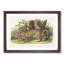 Jaguar by J.W. Audubon - Framed Print-55576105-55576108