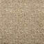 Chaumont Velvets De Blois Performance Fabric-1981501029