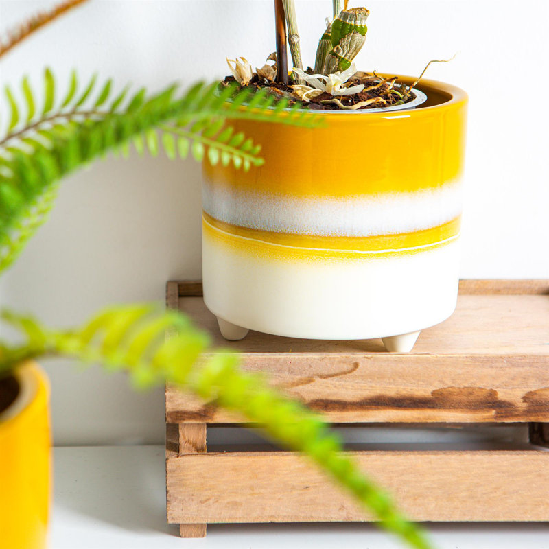 Ceramic Pot Planter, 13.5cm H x 14cm W x 14cm D, Yellow
