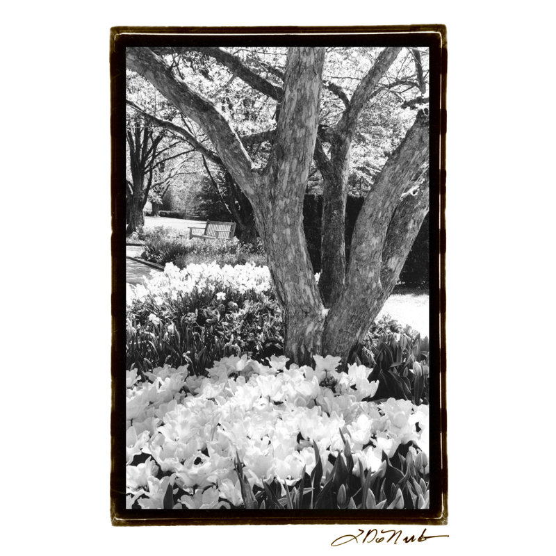 Springtime Garden VI by Laura DeNardo - Wrapped Canvas Art Prints, 46cm H x 30cm W x 3.8cm D