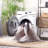 Hallel Performance Machine Washable Oriental Rug-1671739530