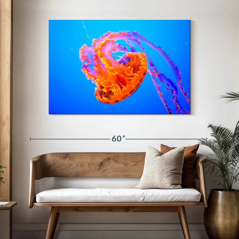 Brampt Jellyfish Somersault, 32" H x 48" W