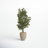 53'' Faux Ficus Tree in Earthenware Planter