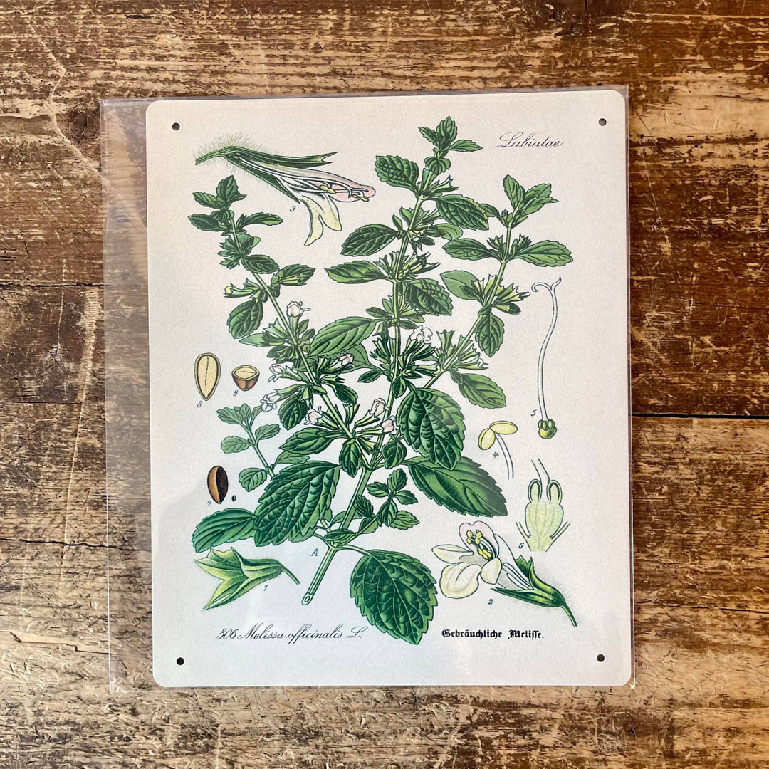 Plants & Flowers Wall Decor on Metal
