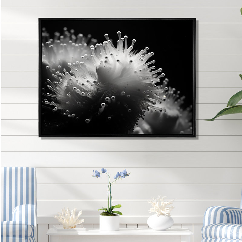 " The Charm Of Pufferfish ", Black Floater Framed, 16" H x 32" W x 1" D