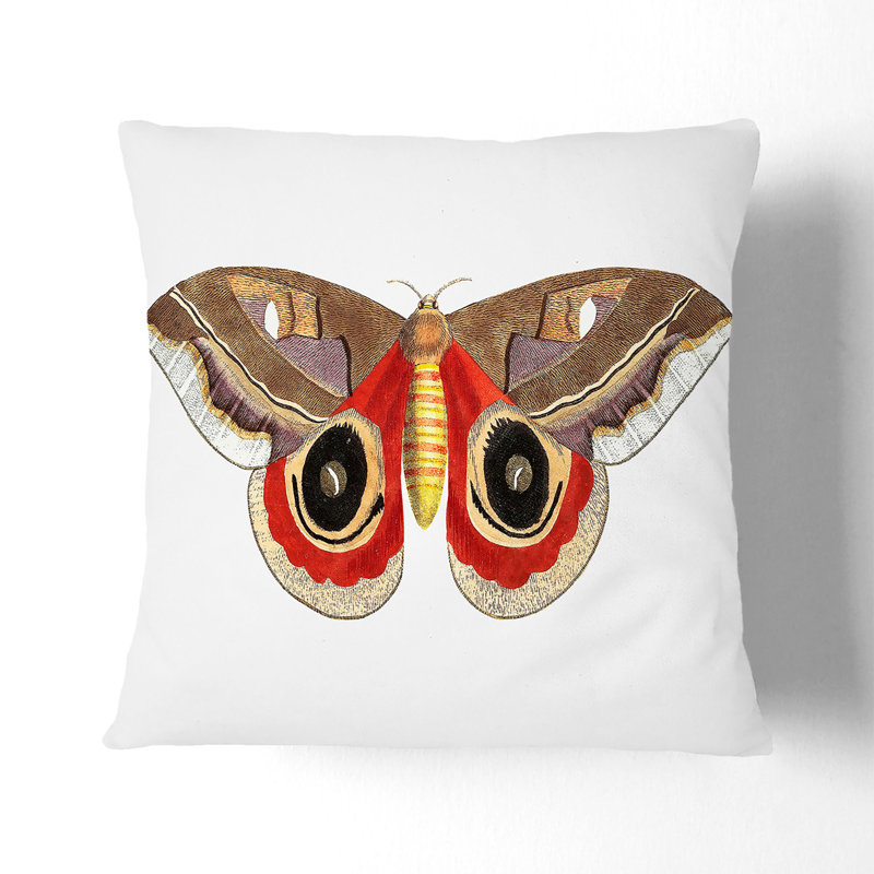 Automeris Moth Square Throw Cushion, 40 x 40 cm