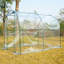 Wall 2m W x 2.5m D Greenhouse
