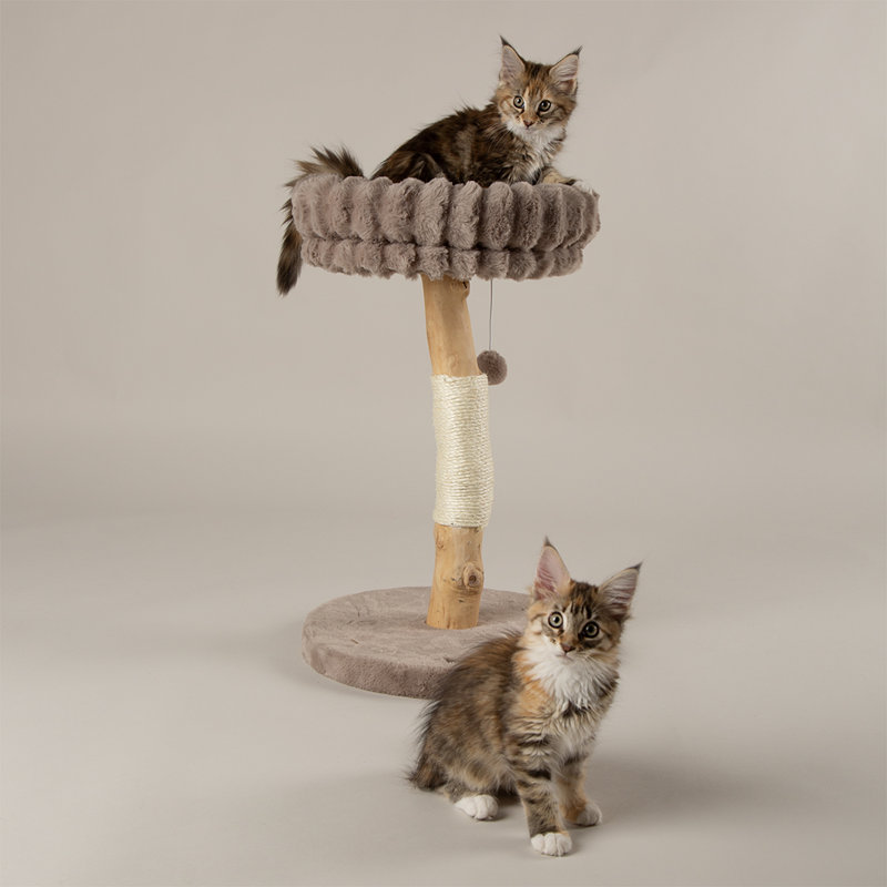 Scruffs Appalachians Cat Scratching Tree, Taupe
