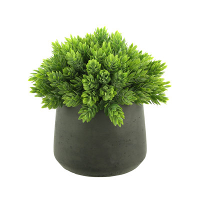 Faux Succulent in Fiberstone Pot