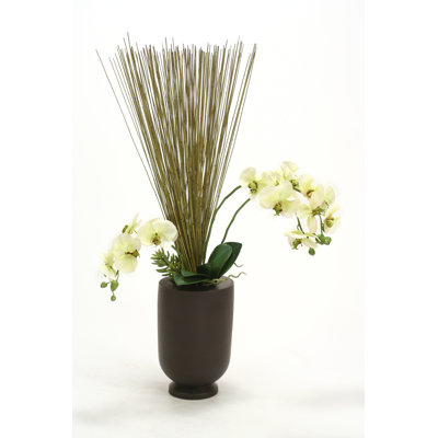 Arrangement