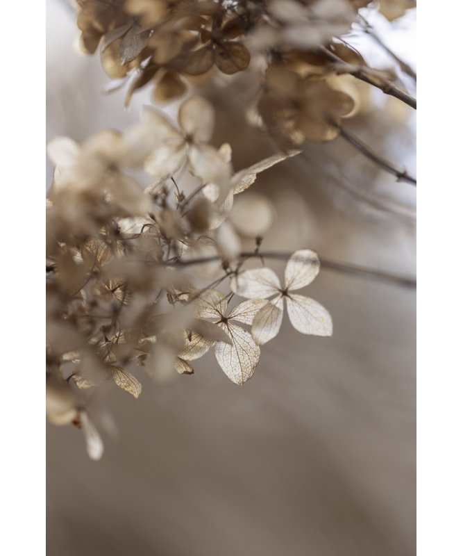 Wrapped Canvas Print, 60.96 cm H x 91.44 cm W
