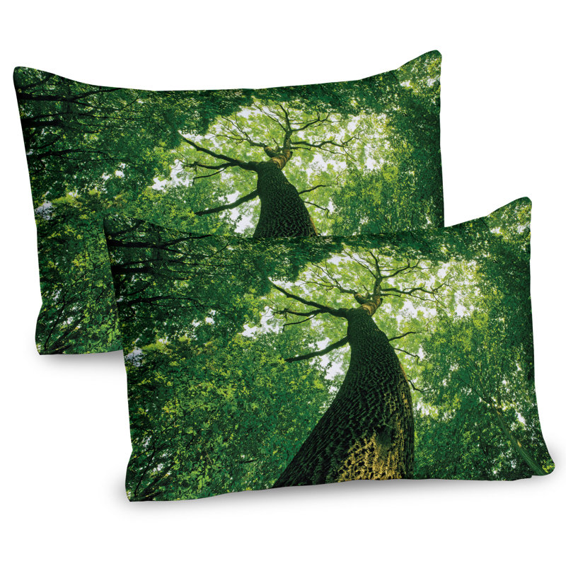 Ensemble de 2 taies décoratives Ambesonne, L 36 po x H 20 po