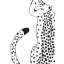 Papier peint adhésif Safari Jungle Illustration-1412565533
