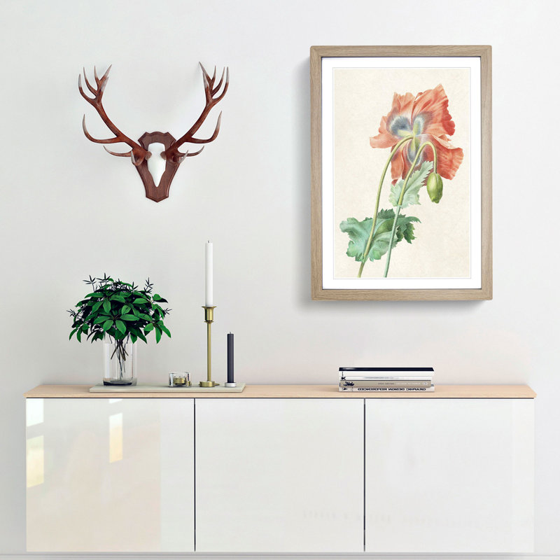 Poppy Flower by Pierre-Joseph Redoute - Picture Frame Painting Print, 36cm H x 27cm W x 2cm D, Oak Framed