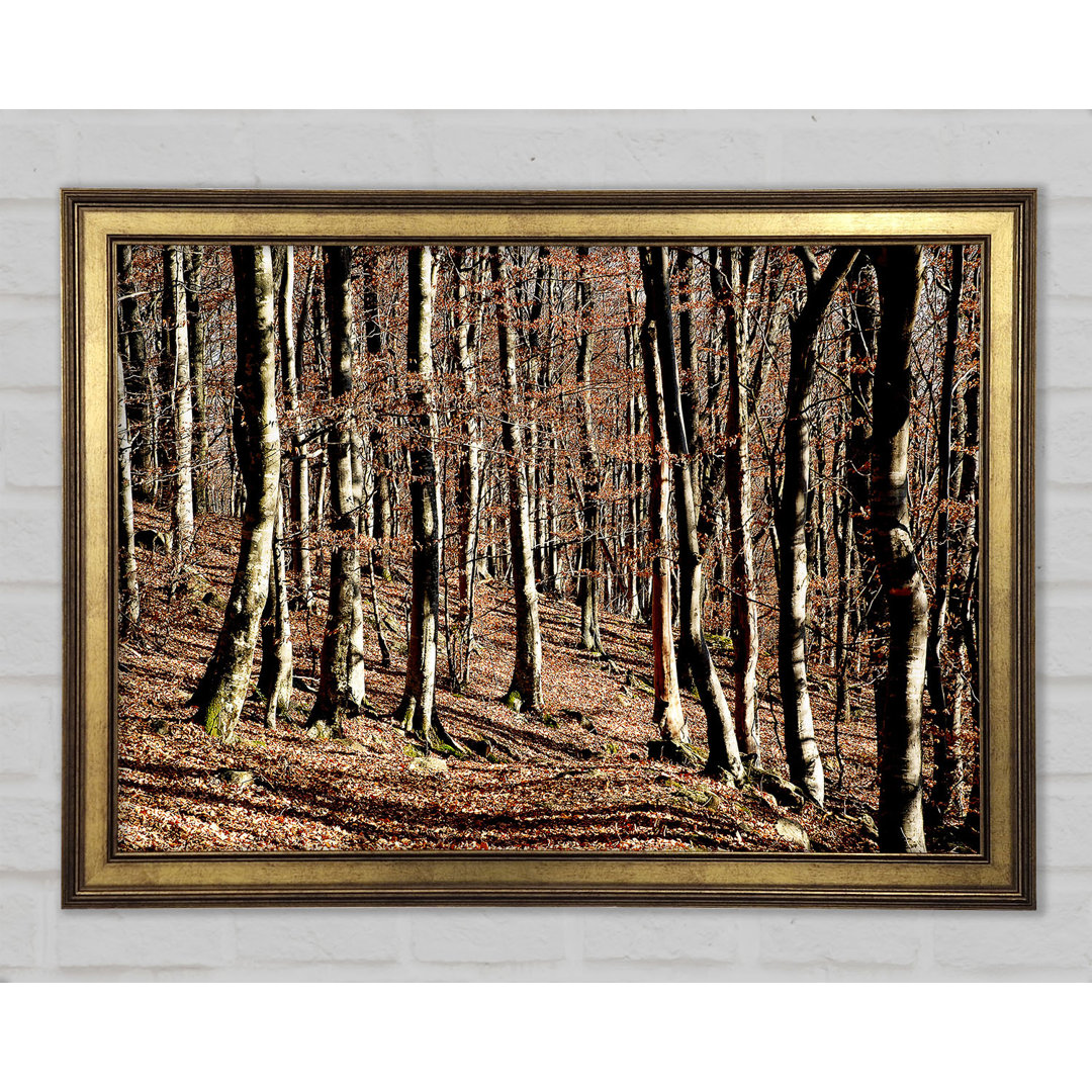 Woodland Beauty - Einzelner Bilderrahmen Kunstdrucke