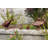 Krugerville Animals Weather Resistant Metal Garden Statue