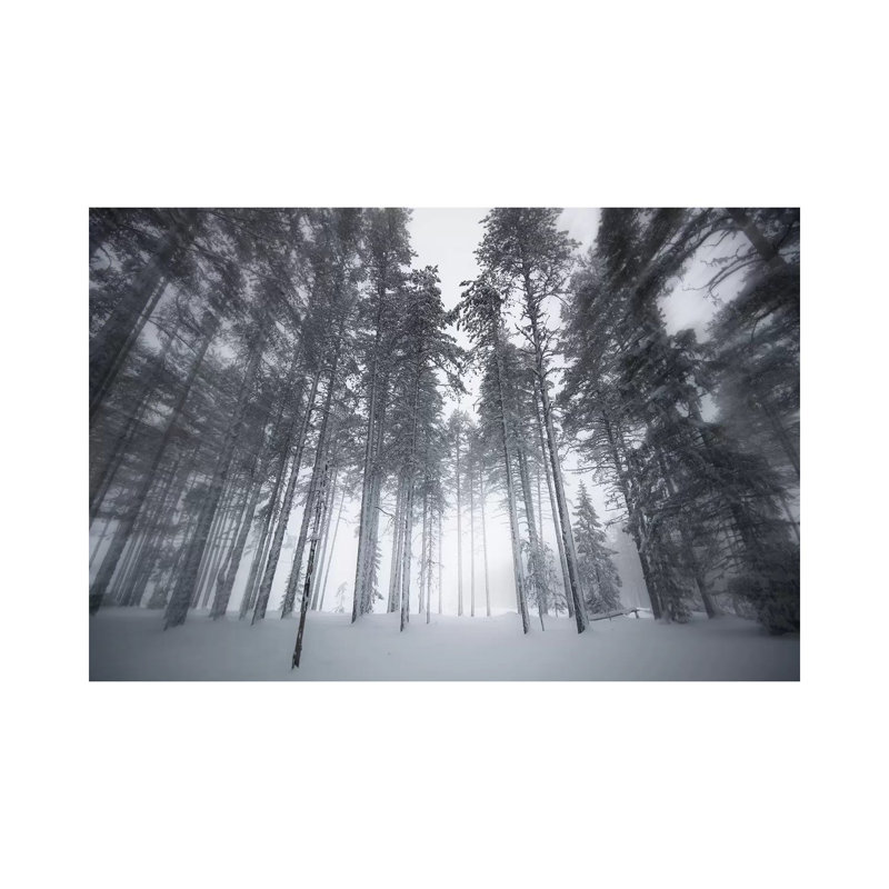 Winter Light by Andreas Stridsberg - Gallery-Wrapped Canvas Giclée on Canvas, Canvas, 30.48 cm H x 45.72 cm W