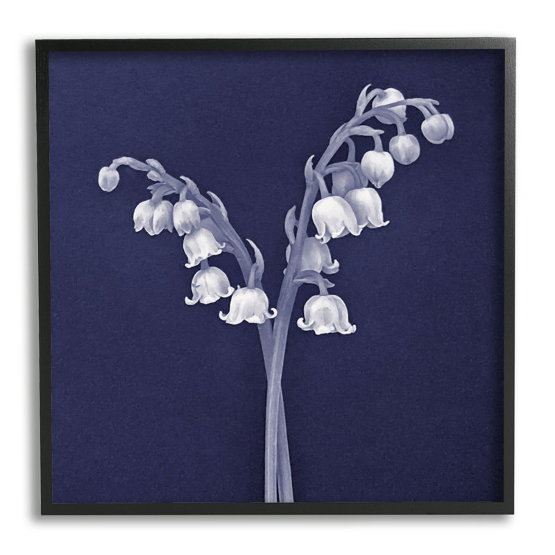 Muguet blanc, Giclée encadrée noir minuit, H 12 po x l 12 po x P 1,5 po