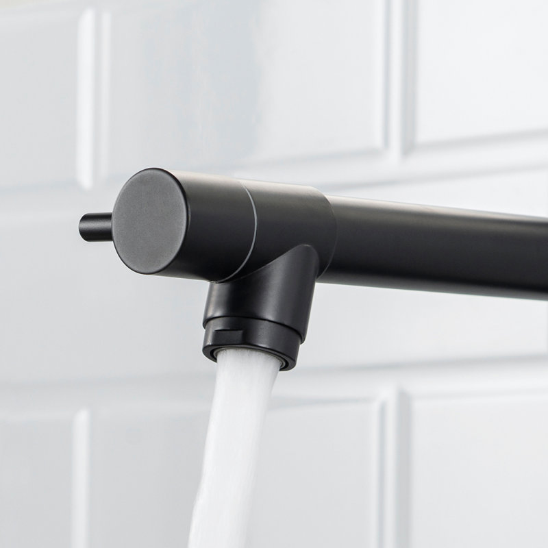 Robinet de cuisine robuste en laiton escamotable pour décors de style commercial