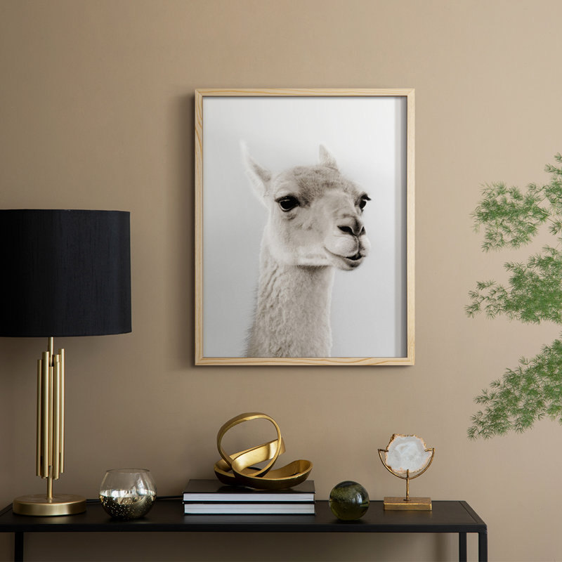 Reproduction encadrée de lama doux - bois massif, H 21 po x l 17 po