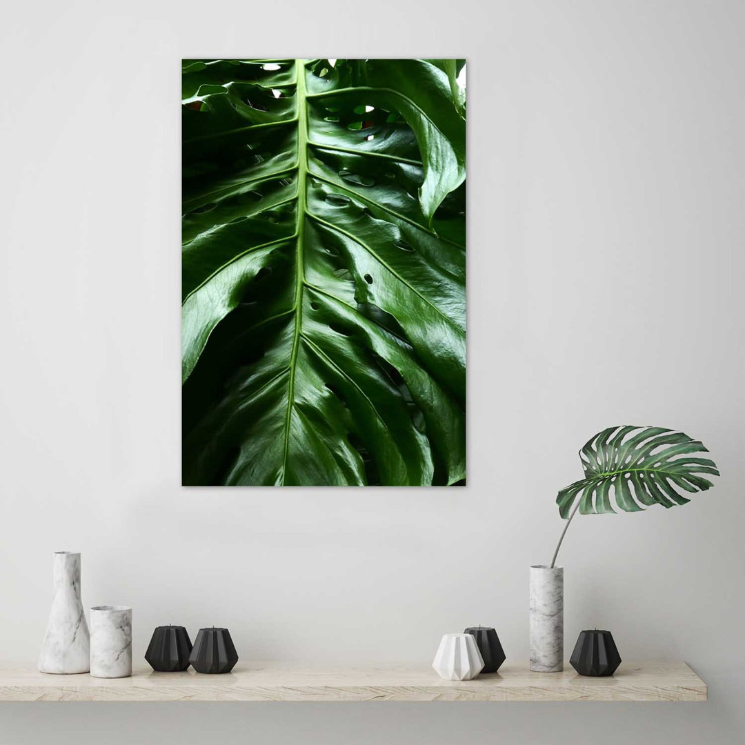 Fotodruck Leaf From the Tropics