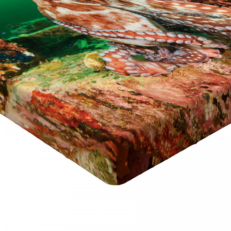 Microfiber Fitted Sheet, Full Fitted Sheet