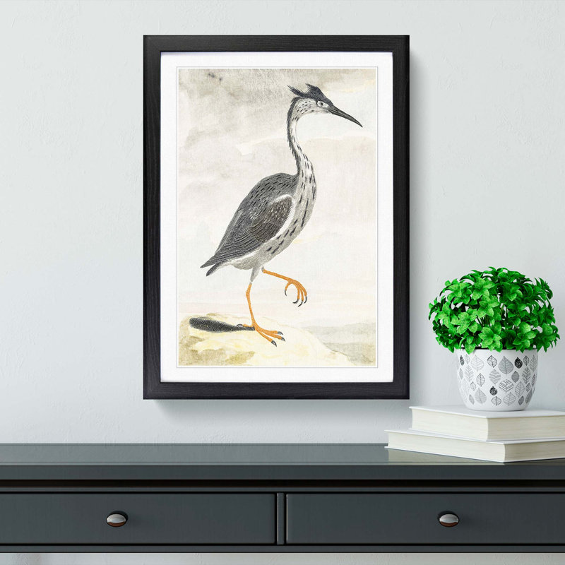 Heron by Johan Teyler - Picture Frame Painting Print, 65cm H x 48cm W x 2cm D, Black Framed