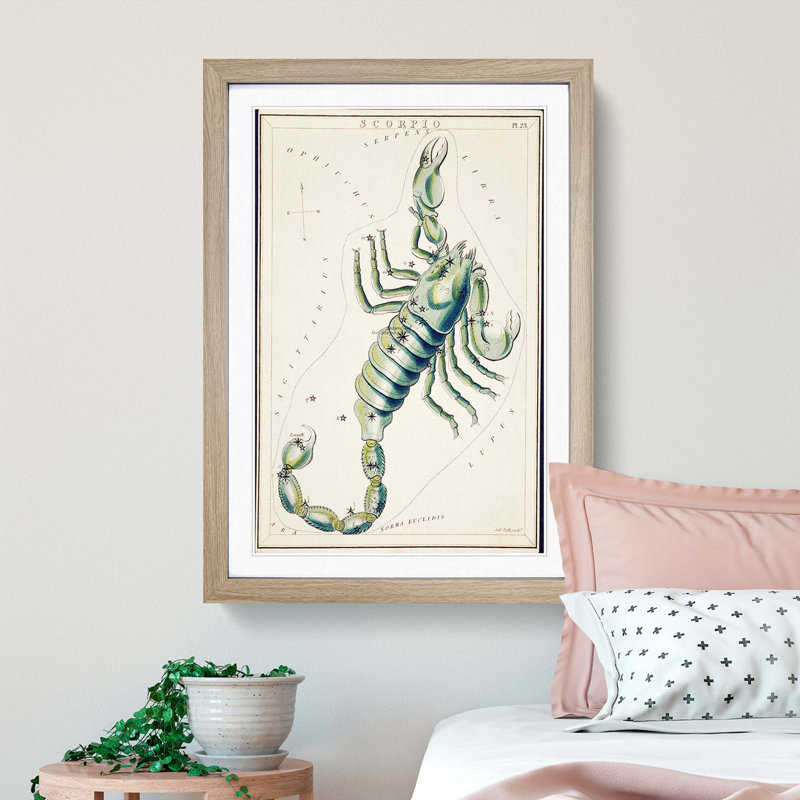 Astronomical Zodiac Chart Of The Scorpio - Single Picture Frame Painting, Oak, 63cm H x 45cm W x 2cm D