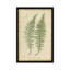 «Lastrea Filix», impression sur toile-31847645-73200299-73200300