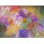 Flower Garden Print by Marsha Heller