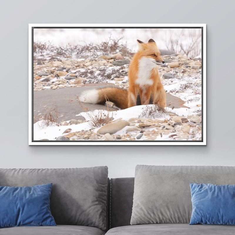 Renard dans la nature en hiver sur toile, Cadre blanc, H 24 po x l 36 po x P 1,5 po