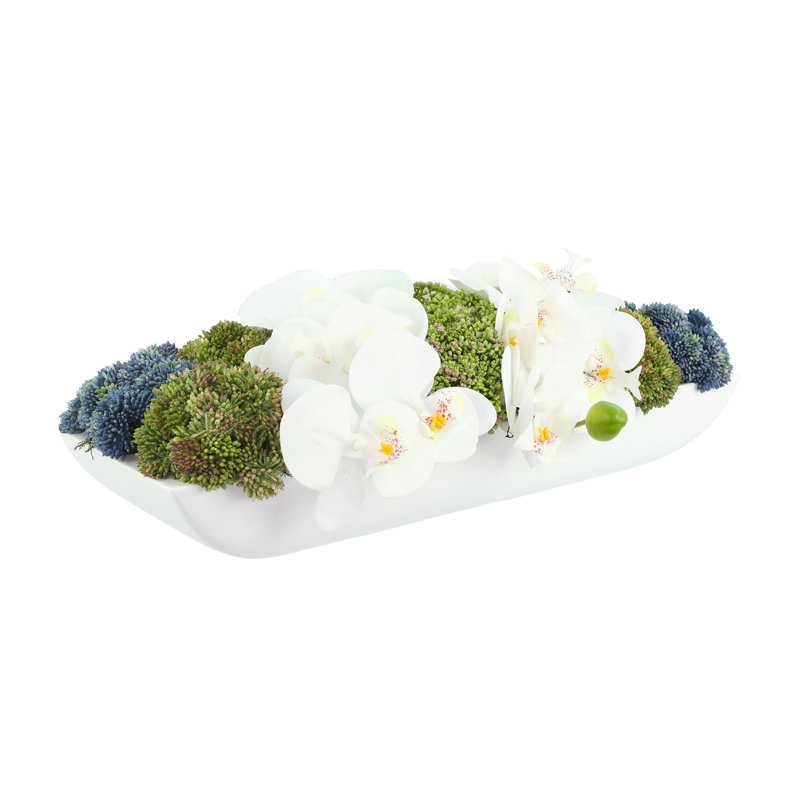 Orchids and Assorted Sedum in Fiberstone Planter, White/Green