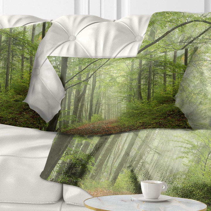 Throw Pillow